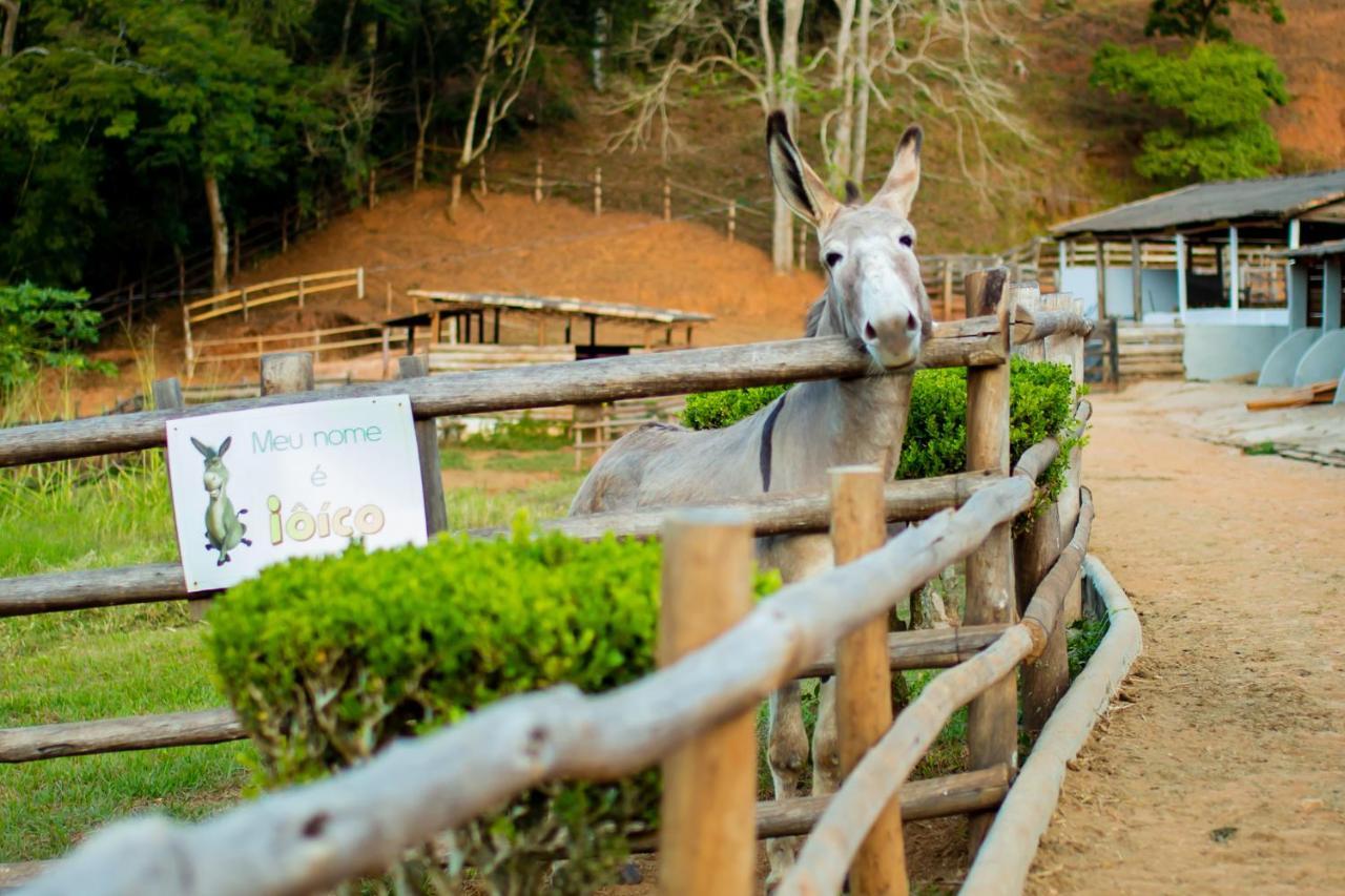 Fazenda Pirapetinga Piranga (Minas Gerais)