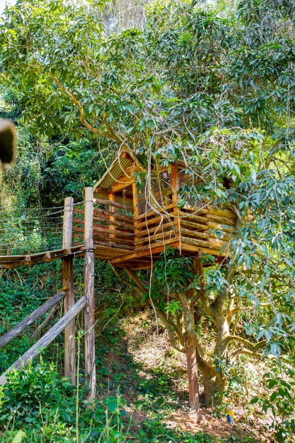 Agroturismo Fazenda Pirapetinga *